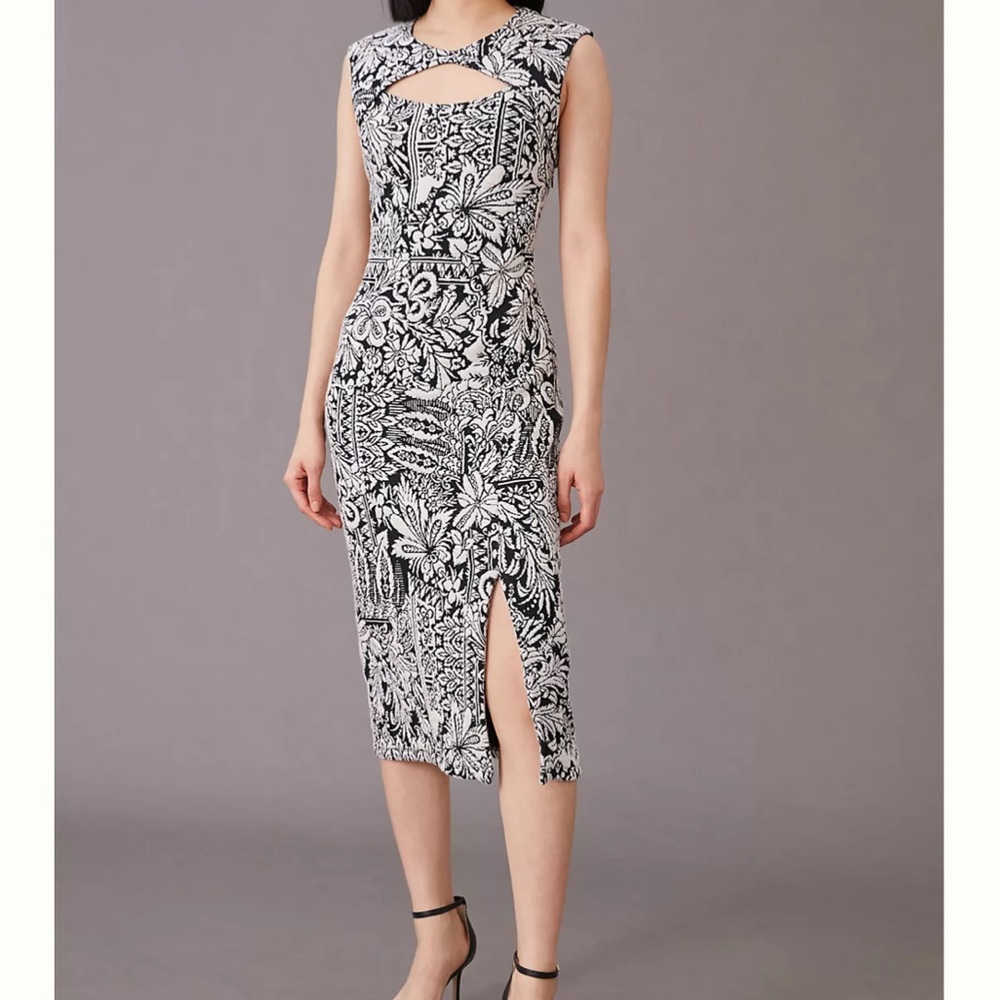 Antropologie Midi Dress